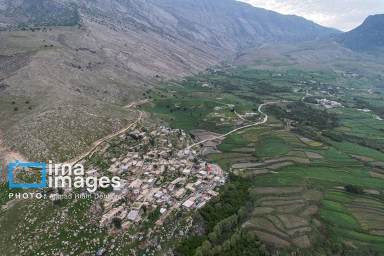 ایران زیباست | دشت «سوسن» خوزستان