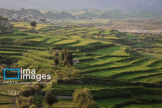 ایران زیباست | دشت «سوسن» خوزستان