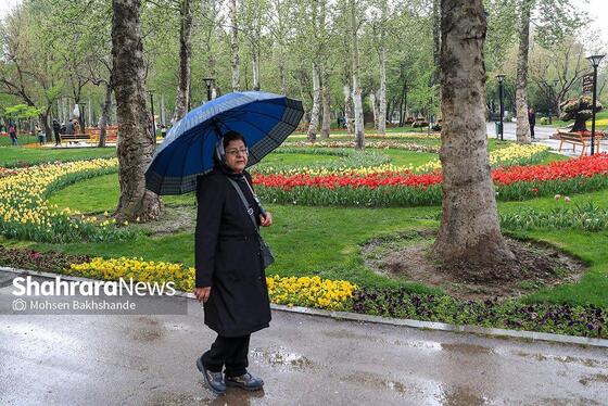 گزارش تصویری | جشنواره گل‌های لاله در مشهد