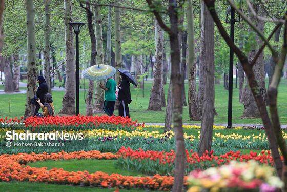 گزارش تصویری | جشنواره گل‌های لاله در مشهد