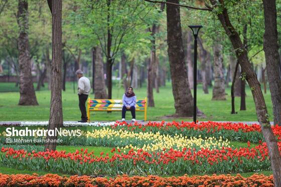 گزارش تصویری | جشنواره گل‌های لاله در مشهد