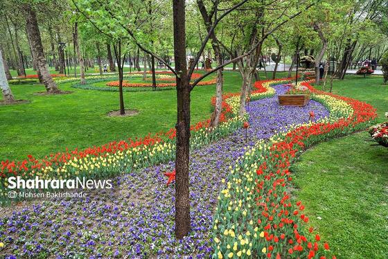 گزارش تصویری | جشنواره گل‌های لاله در مشهد