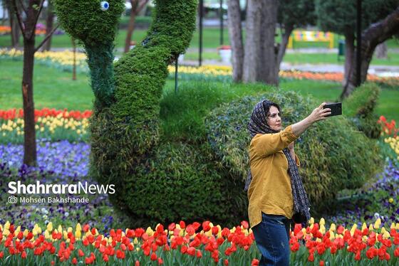 گزارش تصویری | جشنواره گل‌های لاله در مشهد