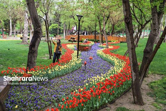 گزارش تصویری | جشنواره گل‌های لاله در مشهد