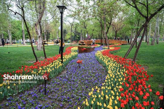 گزارش تصویری | جشنواره گل‌های لاله در مشهد