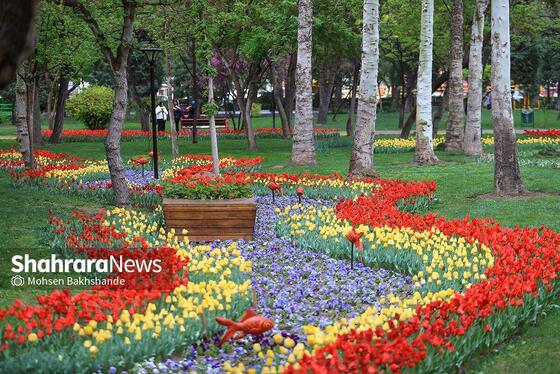گزارش تصویری | جشنواره گل‌های لاله در مشهد
