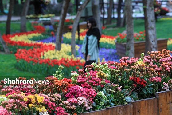 گزارش تصویری | جشنواره گل‌های لاله در مشهد