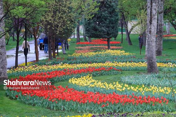 گزارش تصویری | جشنواره گل‌های لاله در مشهد