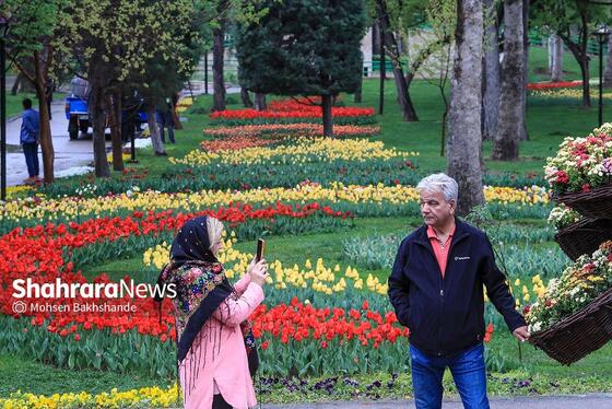 گزارش تصویری | جشنواره گل‌های لاله در مشهد