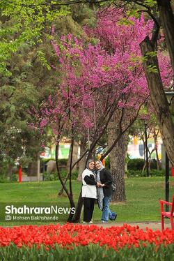 گزارش تصویری | جشنواره گل‌های لاله در مشهد