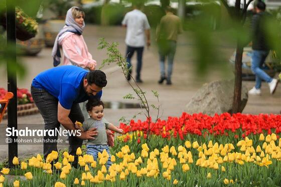 گزارش تصویری | جشنواره گل‌های لاله در مشهد