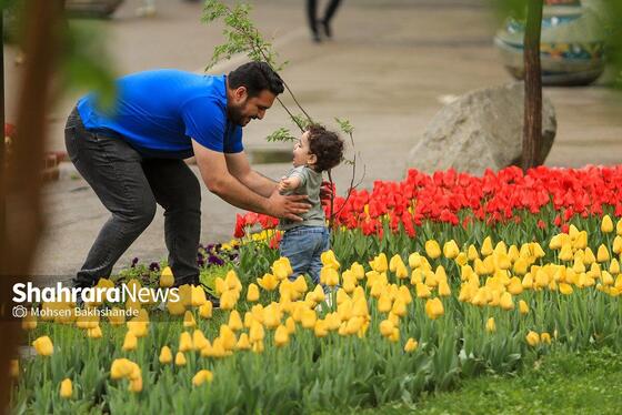 گزارش تصویری | جشنواره گل‌های لاله در مشهد