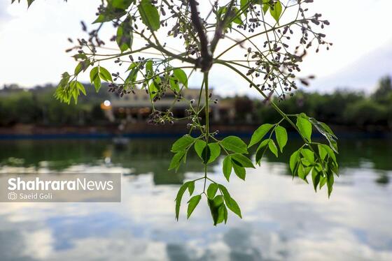 گزارش تصویری | بوستان کوهسنگی