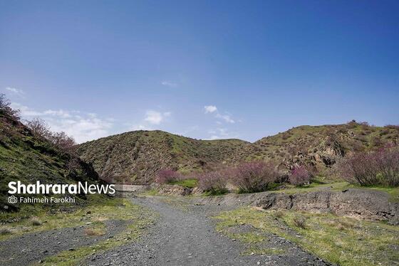 گزارش تصویری | دره «ارغوان» مشهد