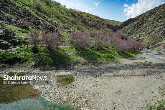 گزارش تصویری | دره «ارغوان» مشهد