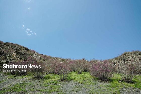 گزارش تصویری | دره «ارغوان» مشهد