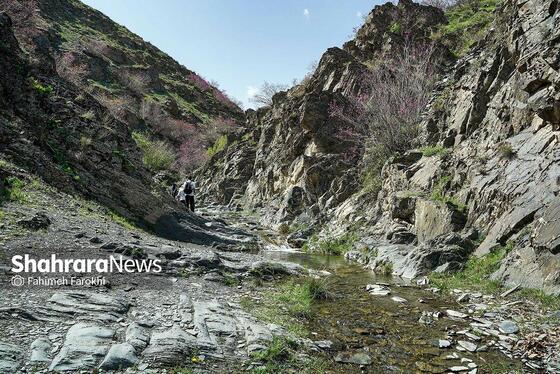 گزارش تصویری | دره «ارغوان» مشهد
