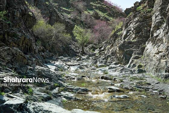 گزارش تصویری | دره «ارغوان» مشهد