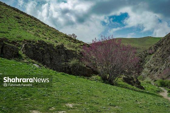 گزارش تصویری | دره «ارغوان» مشهد