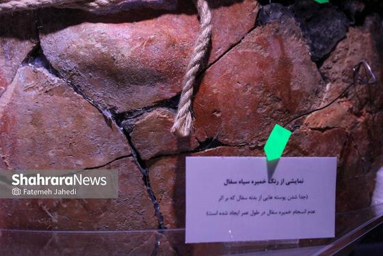 گزارش تصویری | رونمایی از قدیمی ترین ظرف سفالی خراسان رضوی