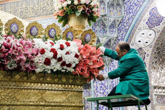 گزارش تصویری | گل آرایی ضریح مطهر حضرت معصومه(س) در قم