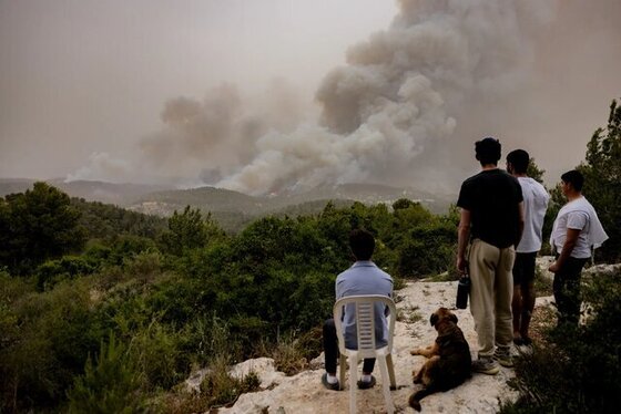 ناتوانی تل‌آویو در مهار آتش‌سوزی‌ها؛ هزاران شهرک‌نشین آواره شدند + ویدئو و عکس