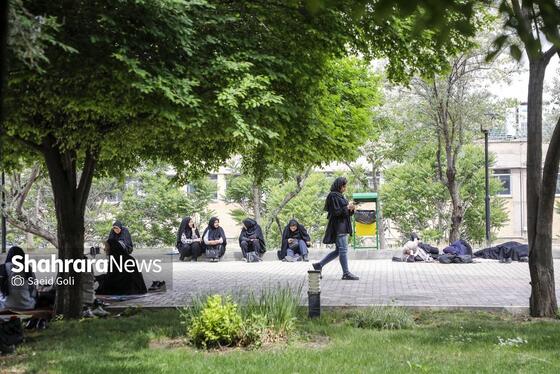 گزارش تصویری | کنکور سراسری ۱۴۰۴