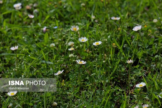 ایران زیباست | طبیعت زیبای رودبار