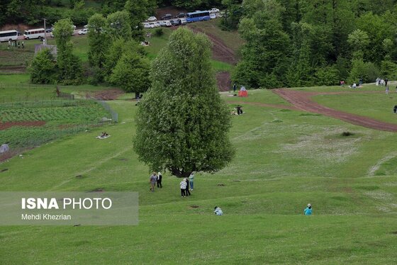 ایران زیباست | طبیعت زیبای رودبار