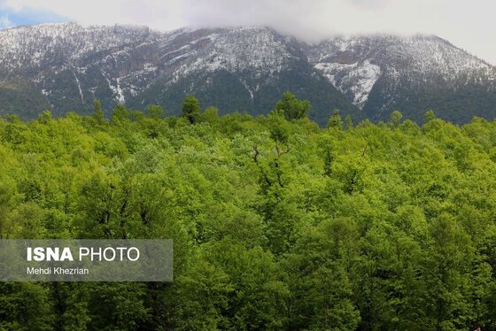 ایران زیباست | طبیعت زیبای رودبار
