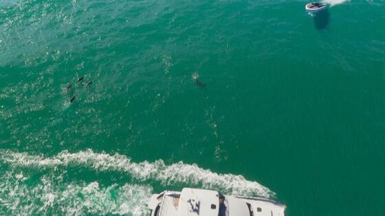 ۹۰ اسکرین‌شات جذاب از تریلر جی تی‌ ای ۶ (GTA VI)