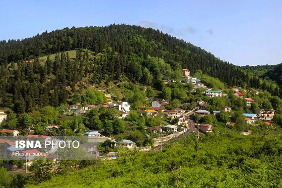 ایران زیباست | شهر «زیراب» سوادکوه، پایتخت جنگل‌های هیرکانی
