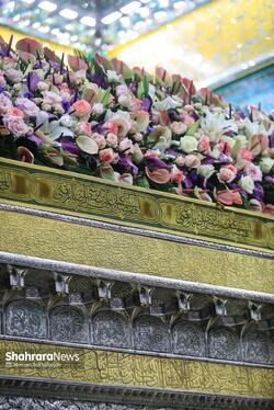 گزارش تصویری | تعویض گل‌های ضریح حرم مطهر امام‌رضا(ع)