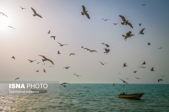 ایران زیباست | خلیج‌فارس