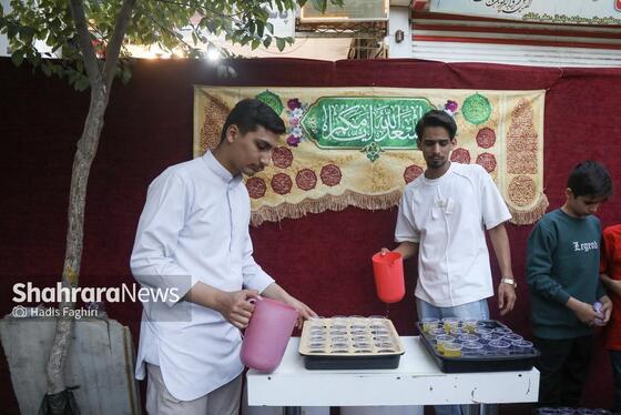 گزارش تصویری | جشن میلیونی امام‌رضایی‌ها در شب میلاد امام‌رضا (ع) / ۲