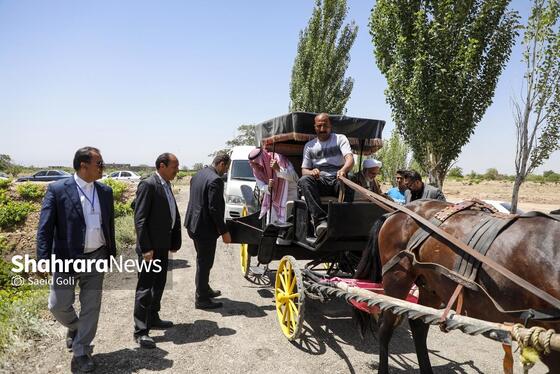 گزارش تصویری | جشن گل‌های محمدی روستای فرخد خراسان رضوی