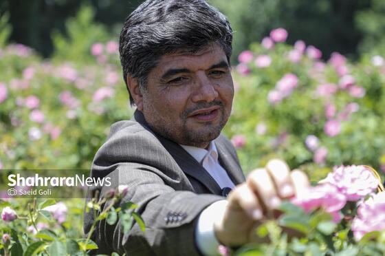گزارش تصویری | جشن گل‌های محمدی روستای فرخد خراسان رضوی