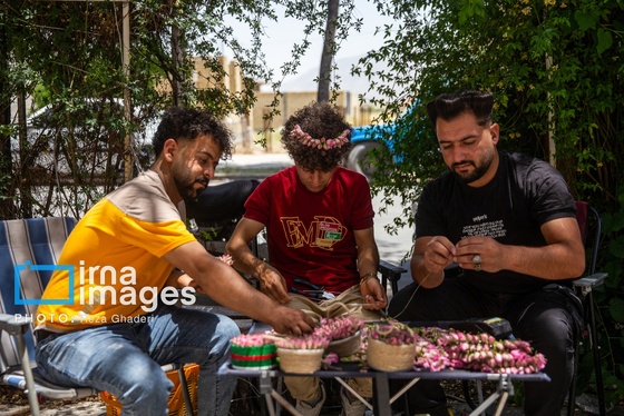 ایران زیباست | گل و گلاب میمند