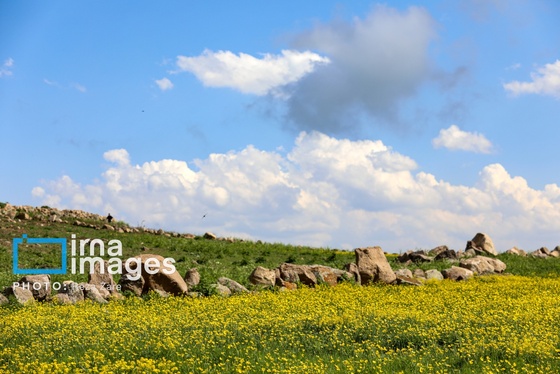 ایران زیباست | طبیعت بهاری دامنه کوه سبلان