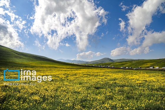 ایران زیباست | طبیعت بهاری دامنه کوه سبلان
