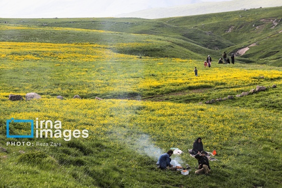 ایران زیباست | طبیعت بهاری دامنه کوه سبلان