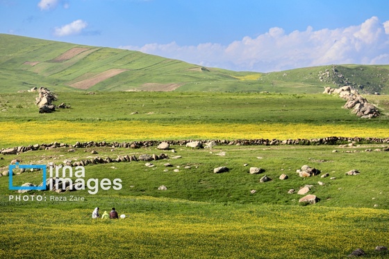 ایران زیباست | طبیعت بهاری دامنه کوه سبلان