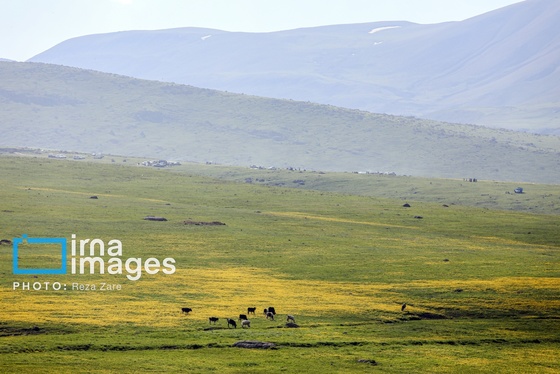 ایران زیباست | طبیعت بهاری دامنه کوه سبلان