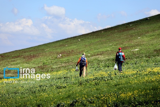 ایران زیباست | طبیعت بهاری دامنه کوه سبلان
