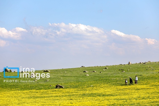 ایران زیباست | طبیعت بهاری دامنه کوه سبلان