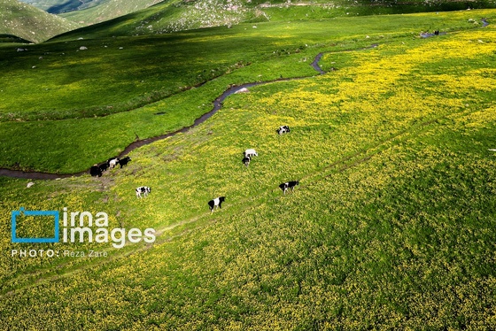 ایران زیباست | طبیعت بهاری دامنه کوه سبلان