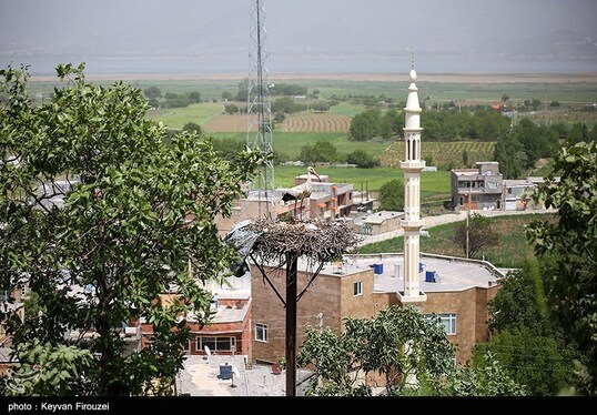 ایران زیباست | همزیستی لک‌لک‌ها و انسان در روستای دره‌تفی - مریوان