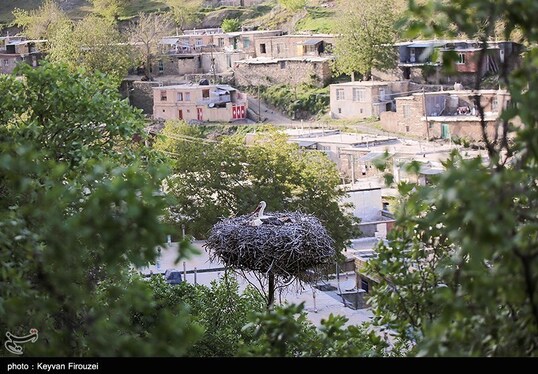 ایران زیباست | همزیستی لک‌لک‌ها و انسان در روستای دره‌تفی - مریوان
