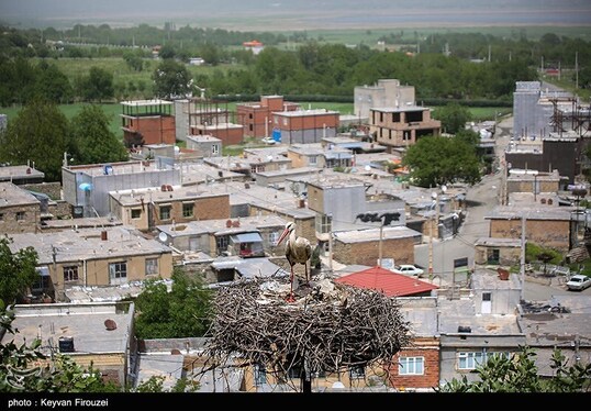 ایران زیباست | همزیستی لک‌لک‌ها و انسان در روستای دره‌تفی - مریوان