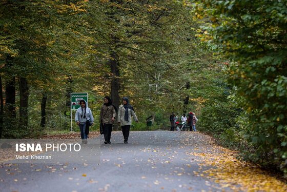 گزارش تصویری | پاییز در النگ دره